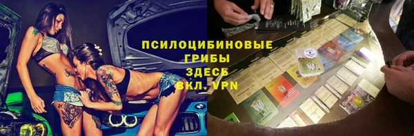 PSILOCYBIN Заволжье