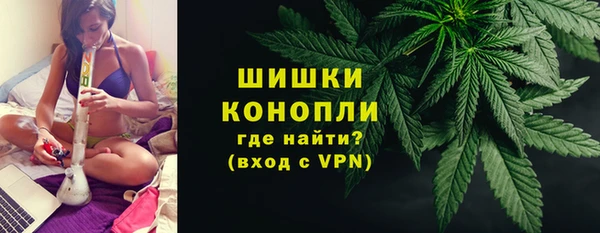 PSILOCYBIN Заволжье