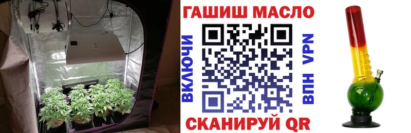 Купить где Мензелинск Дистиллят ТГК концентрат